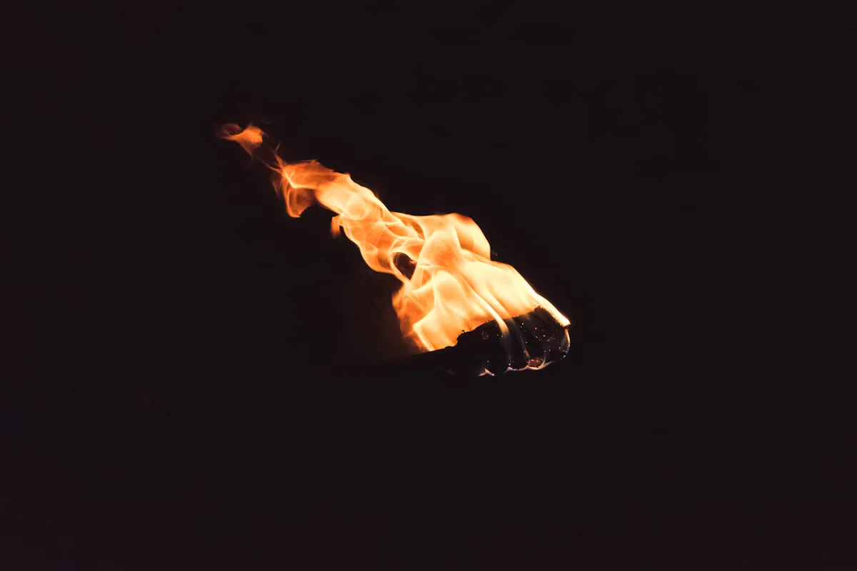 Ember-grilled skewer photographed on black